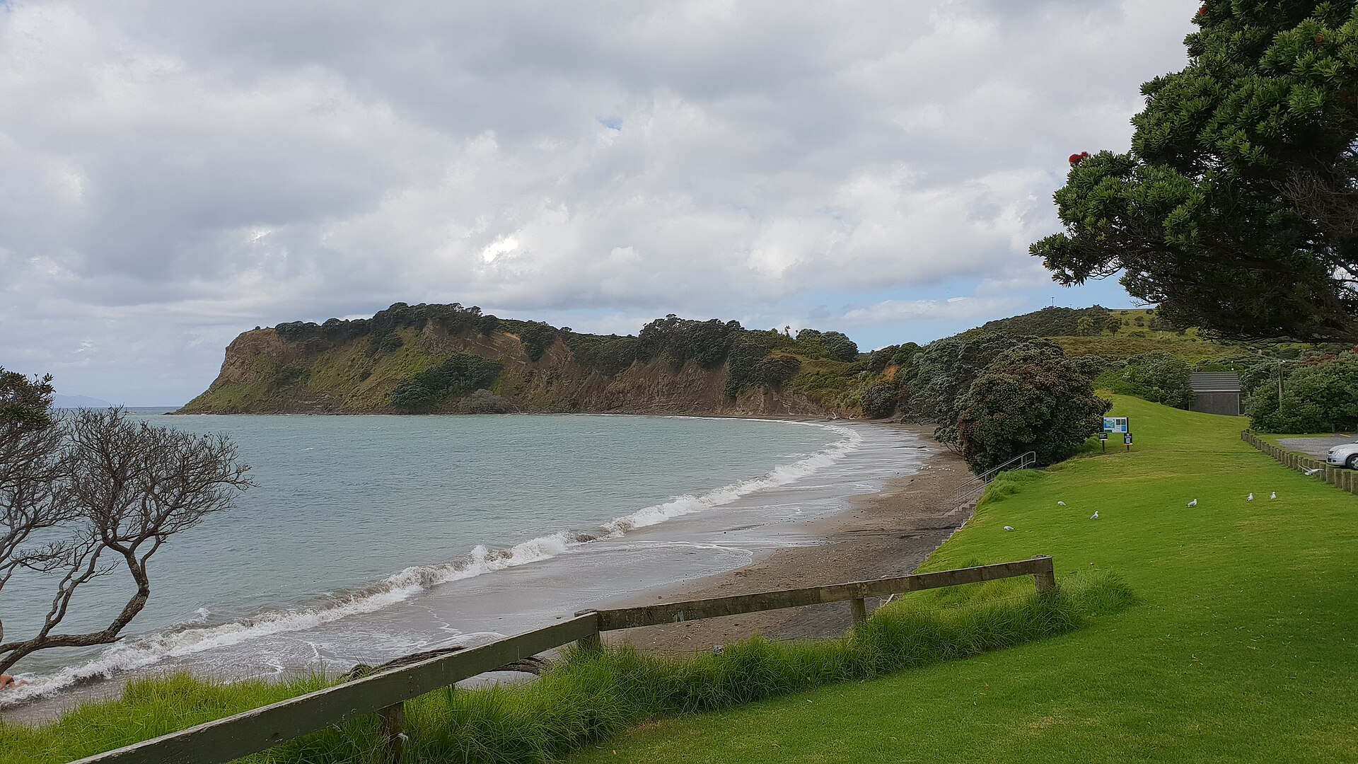 Army Bay beach on the northern side of the Whangaparāoa Peninsula