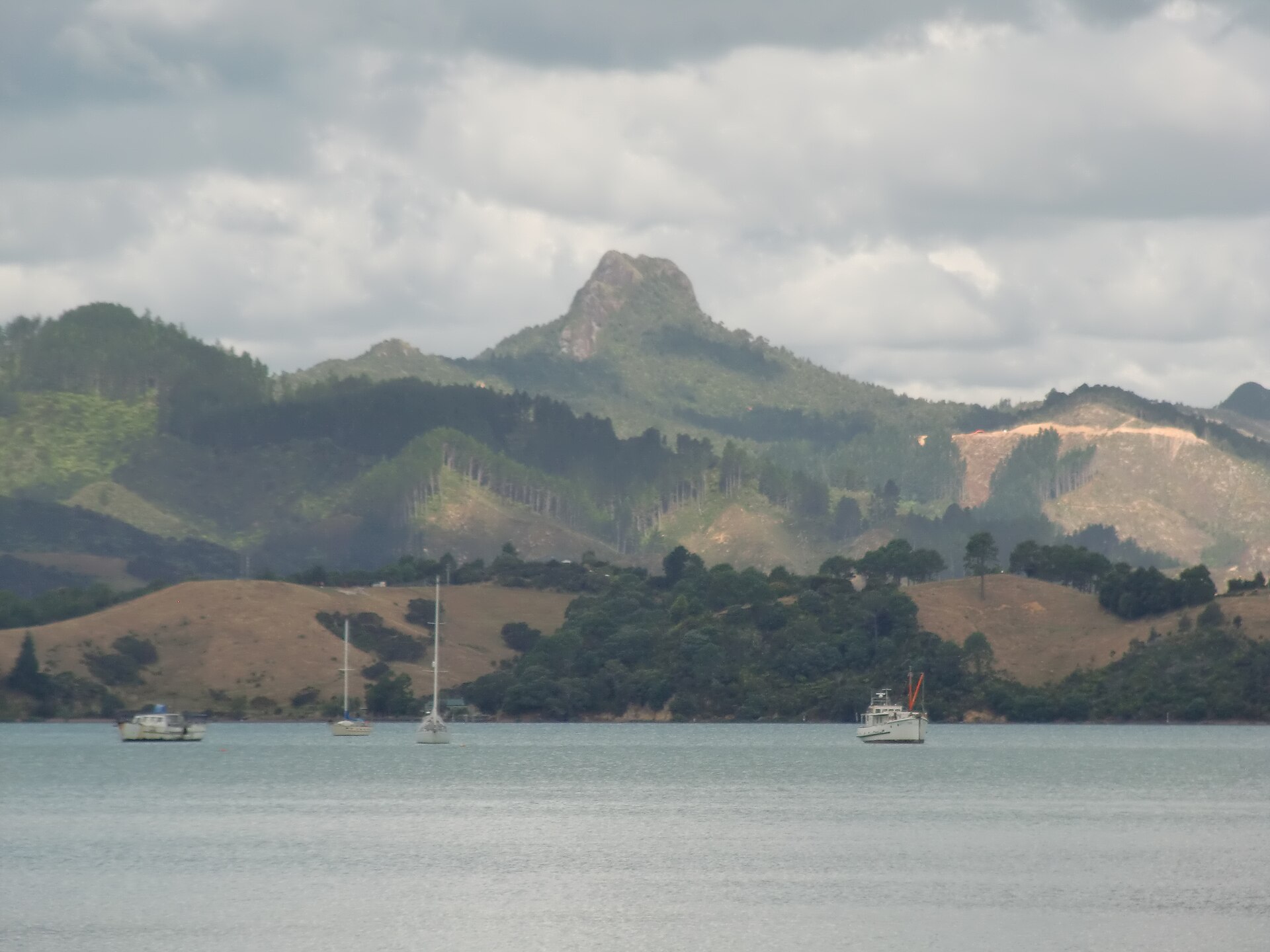 Yachts at anchor in Coromandel Harbour below Castle Rock