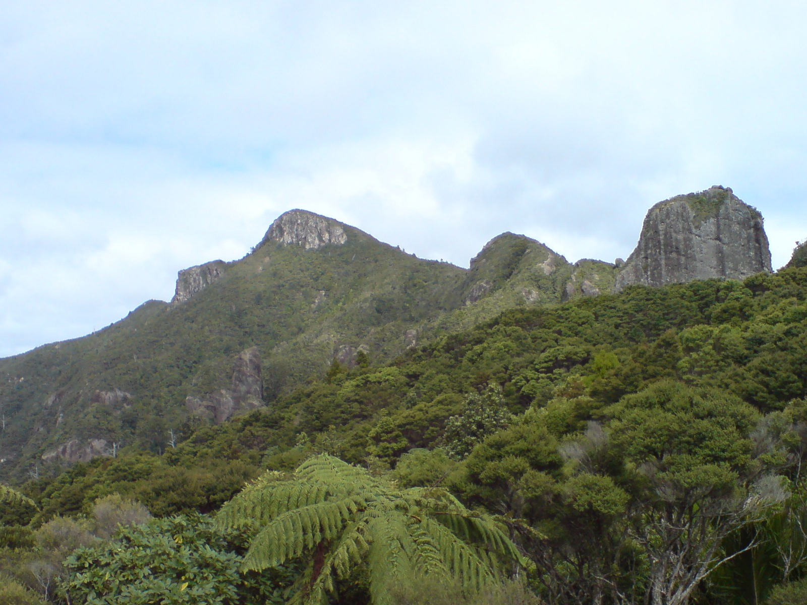 The bush-clad peaks of Hirakimatā / Mt Hobson, Great Barrier Island