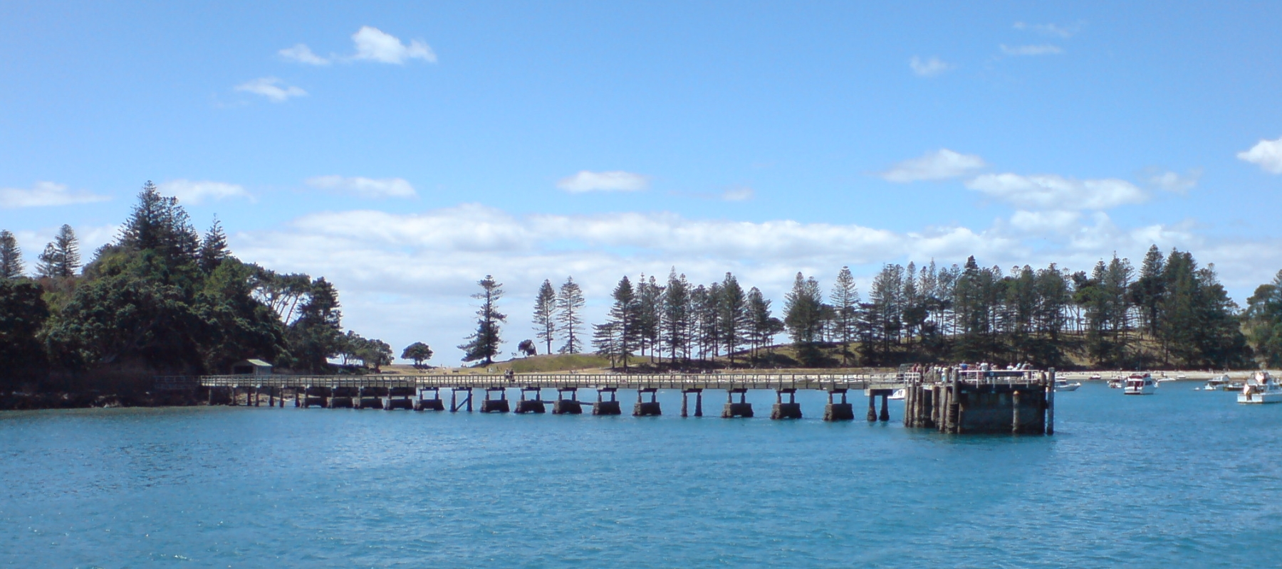The wharf at Motuihe Island seen from the water, with pōhutukawa and Norfolk pines behind