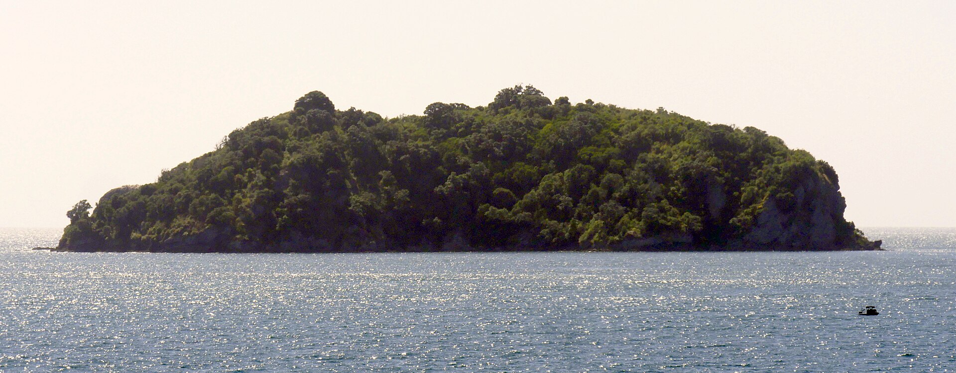 Bush-covered Motukaramarama Island in the Motukawao group, Hauraki Gulf