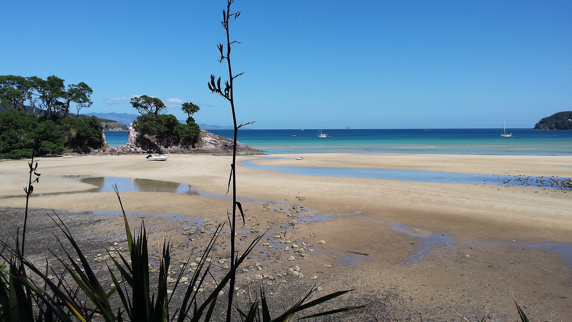 Pā Beach at Tryphena, Great Barrier Island, at low tide