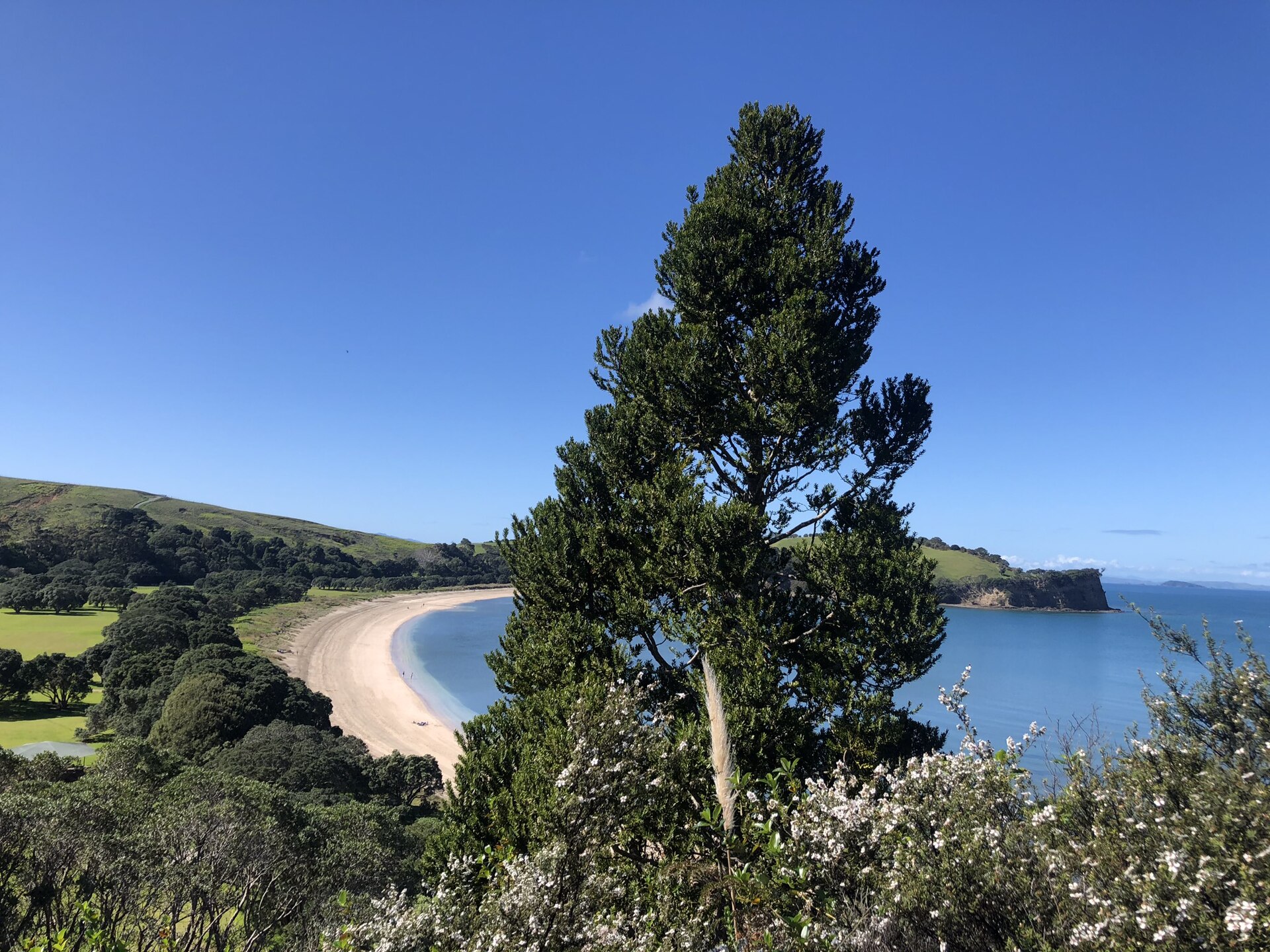 Te Haruhi Bay at Shakespear Regional Park seen from the hill to the south