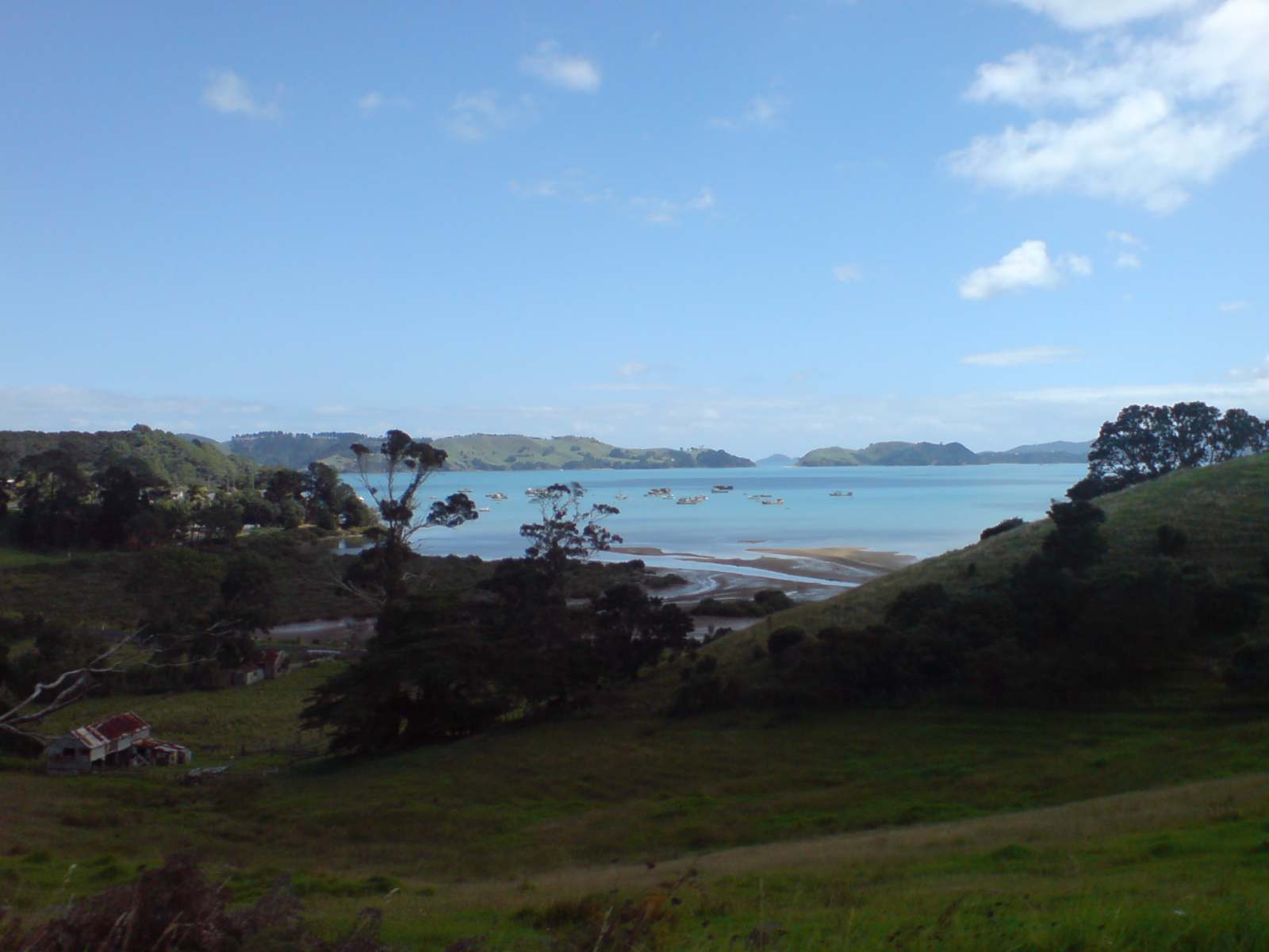 Te Kouma Harbour from the coast road, with boats at anchor and Coromandel Harbour beyond