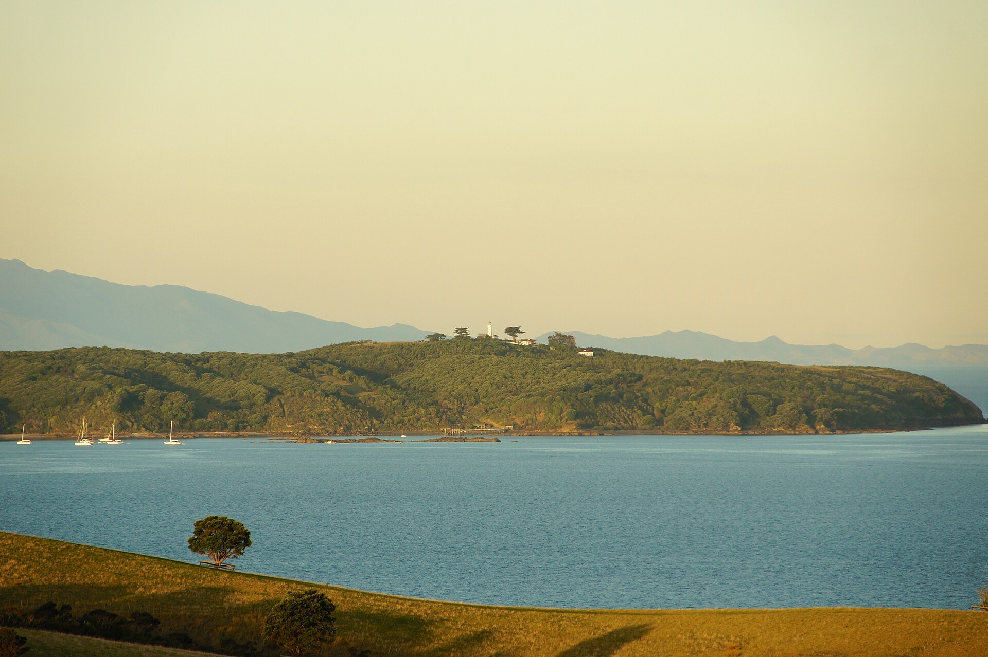 Tiritiri Matangi Island seen across the Tiritiri Channel from Shakespear Regional Park