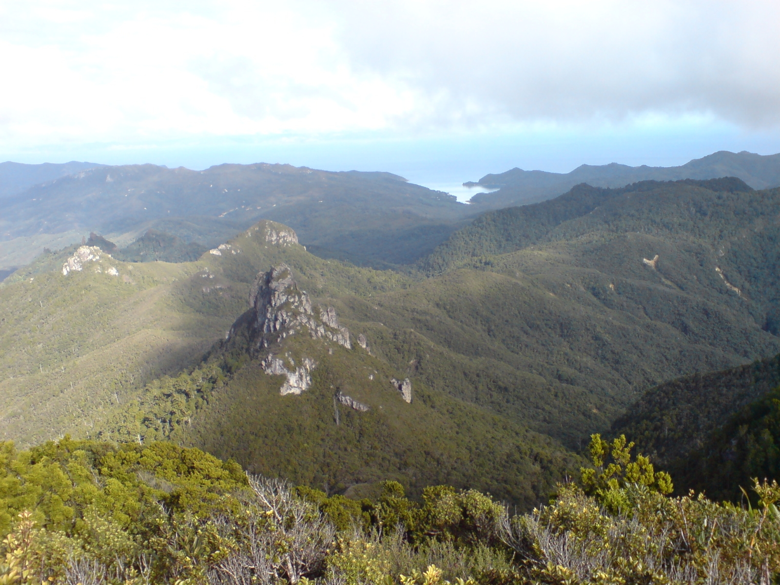 Whangaparapara Harbour seen from the summit of Hirakimatā / Mt Hobson, Great Barrier Island